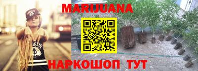 гидра Ливны