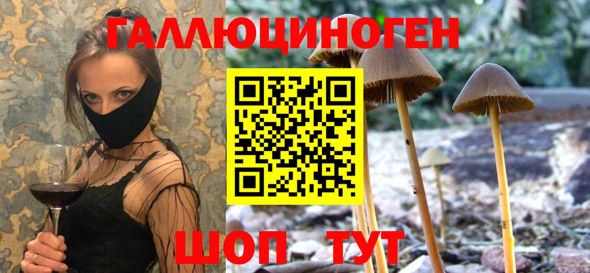 Пушкино  Псилоцибиновые грибы прущие грибы  Галлюциногенные грибы Cubensis  Вход с VPN 